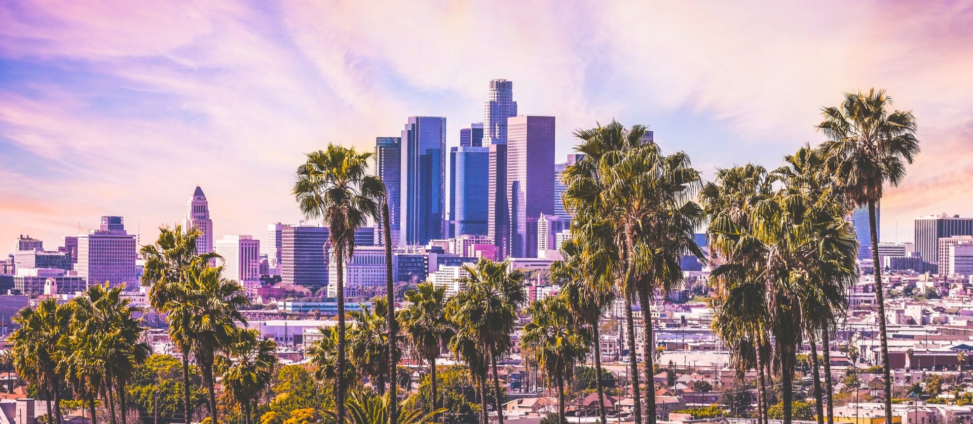 palm trees in foreground, city buildings behind
